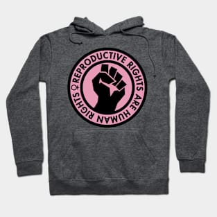 Reproductive Rights are Human Rights (pink) Hoodie